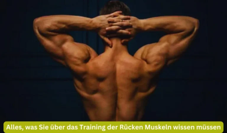 Alles, was Sie über das Training der Rücken muskeln wissen müssen