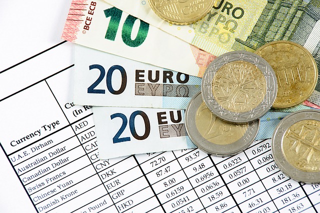 Wechselkurs Euro Zloty