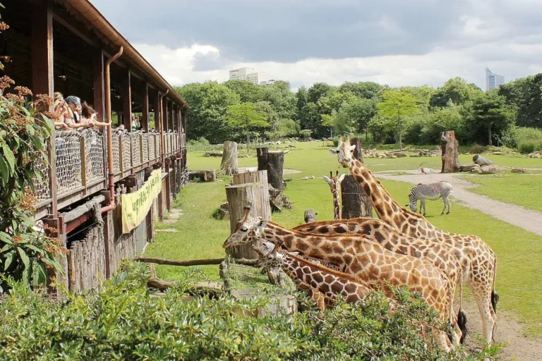Zoo Leipzig: Ein unvergessliches Erlebnis für die ganze Familie